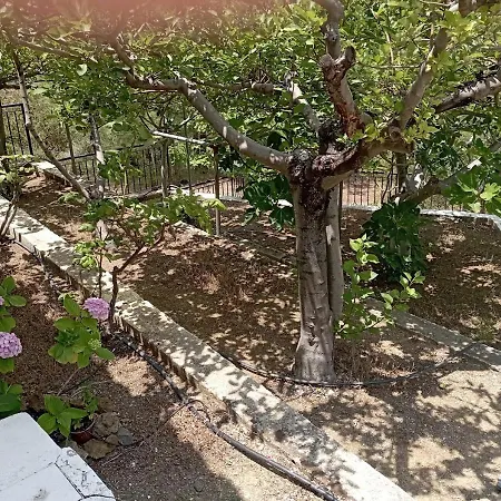 Сasa de vacaciones Panorama *