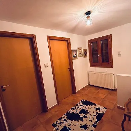 Panorama * Vavatsinia