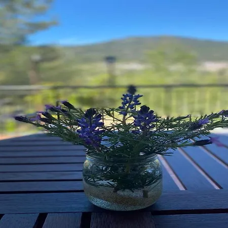 Panorama Hébergement de vacances *